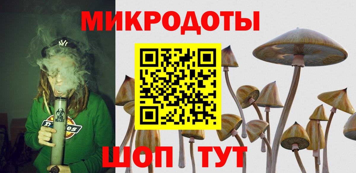 Псилоцибиновые грибы GOLDEN TEACHER Заволжье