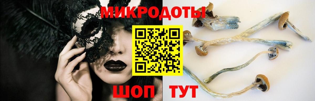 купить закладку  Псилоцибиновые грибы прущие грибы  Вход с VPN  Заволжье  Псилоцибиновые грибы мухоморы 